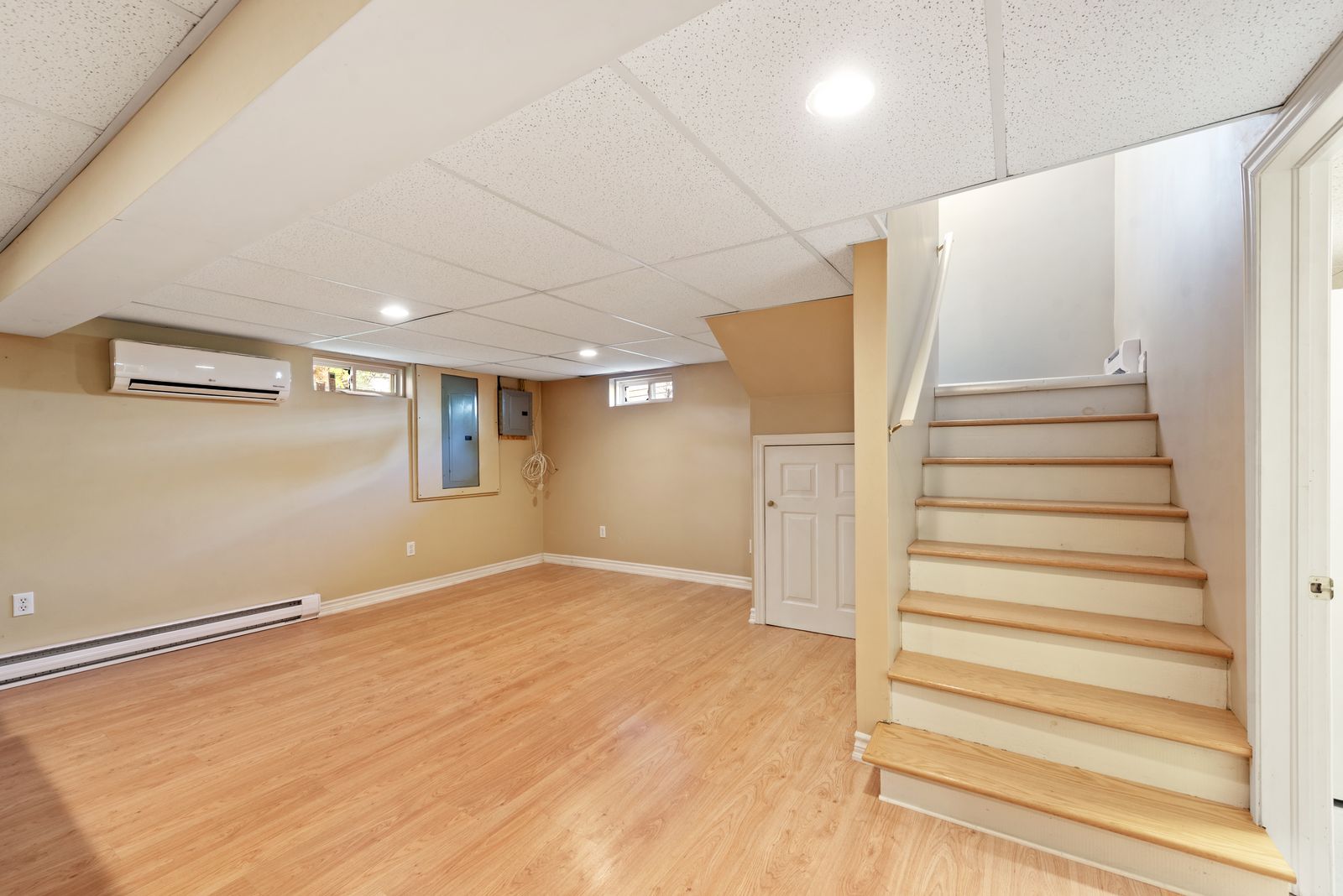 Basement — stairs and family room